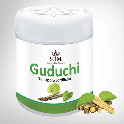 SBM GUDUCHI