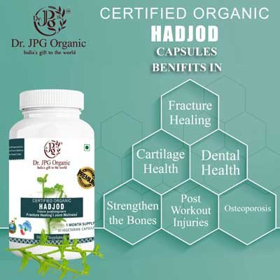 Hadjod Powder - for fracture healing and reduces fracture pain
